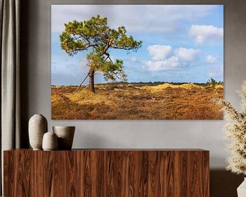 Eenzame boom op Vlieland van Henk Meijer Photography