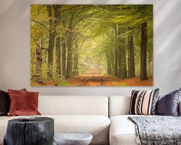 Boslaan met fris groene bladeren en mist van KB Design & Photography (Karen Brouwer)