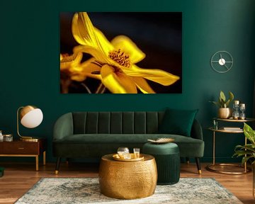 Gelbe Coreopsis-Blüte von Rob Boon