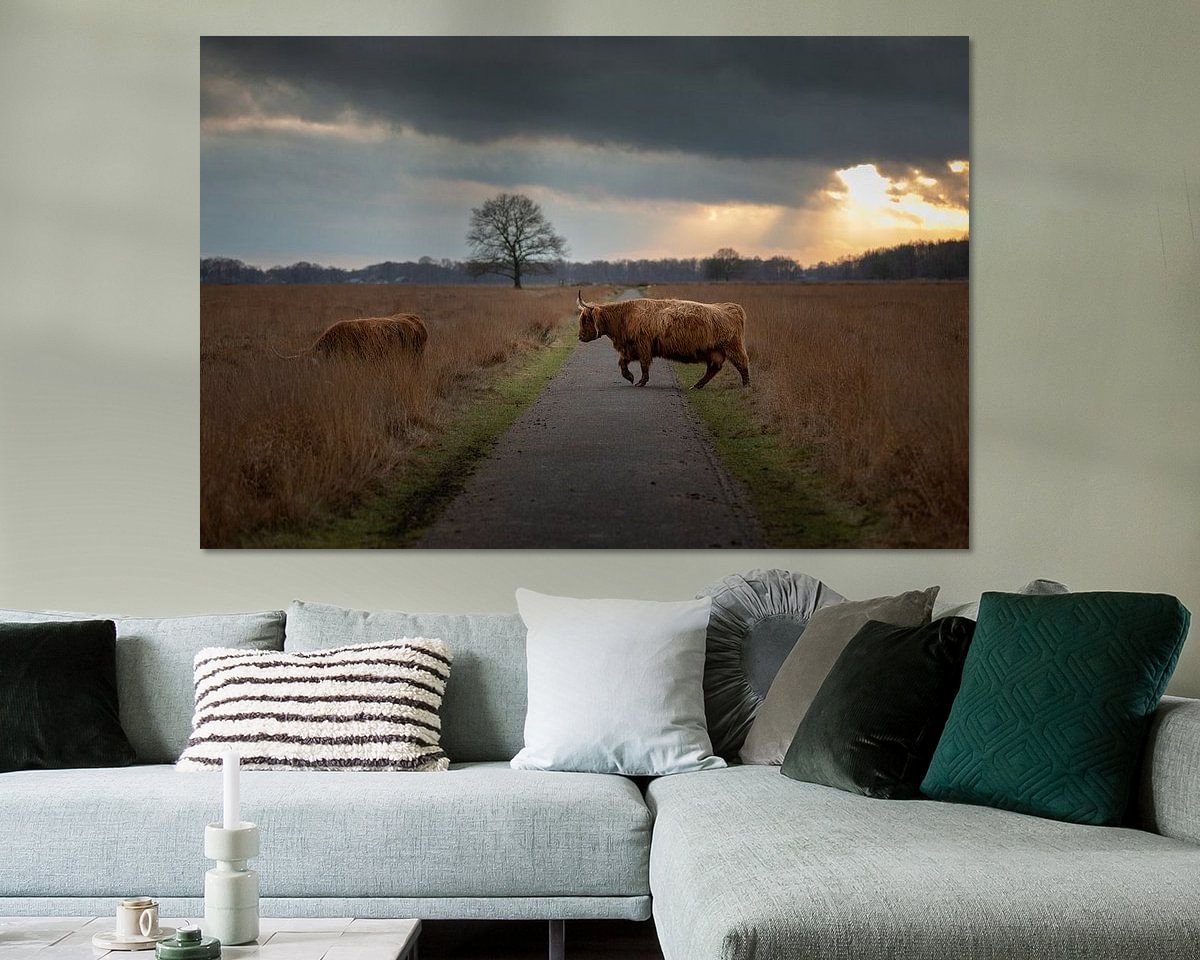 Voorbeeld van het werk in een kamer