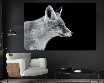 Black white Fox van Jor DieFotografie