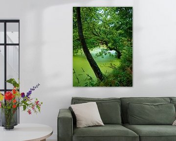 green by snippefotografie