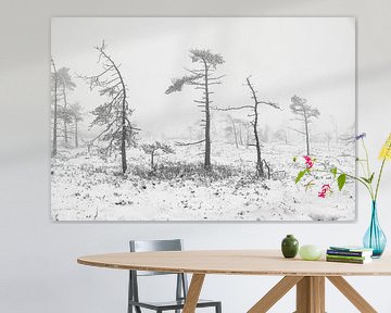 Winterlandschap met natuurpad in het Zwarte Moor/Rhön 2 van Holger Spieker