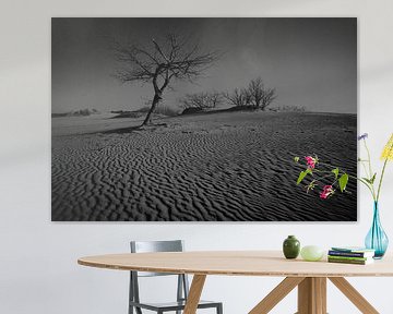 arbre solitaire dans un magnifique paysage de dunes sur Karel Ham