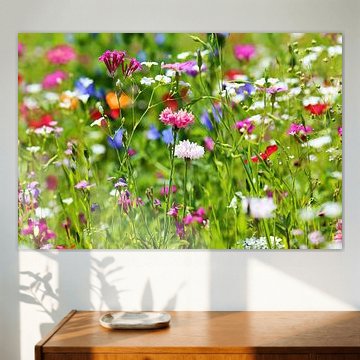 Flower meadow with wild flowers
