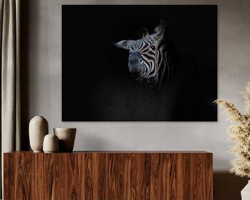 Zebra by Liliane Jaspers