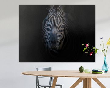 Zebra sur Liliane Jaspers