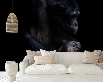 Schimpansen von Liliane Jaspers