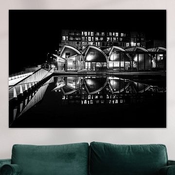 FineArt in black and white, Den Bosch