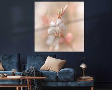 Zachte fragiele witte bloem met roze details van Dafne Vos