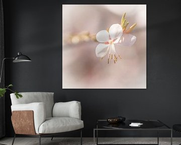Klein wit lente bloemetje met meeldraden  van Dafne Vos
