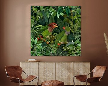 Papegaaien Jungle Paradijs van Andrea Haase