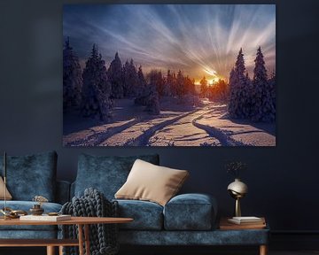 Winterlandschap met zonsondergang in het bos, illustratie 03 van Animaflora PicsStock