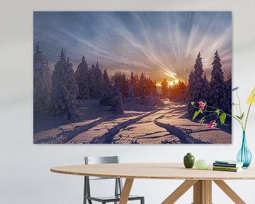 Winterlandschap met zonsondergang in het bos, illustratie 03 van Animaflora PicsStock