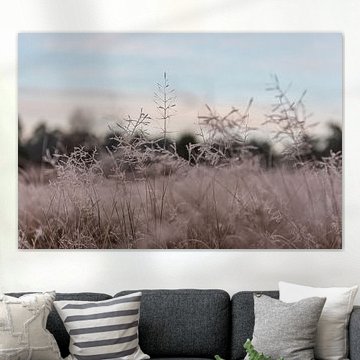 Winter details op de heide van Leusden | Print Art
