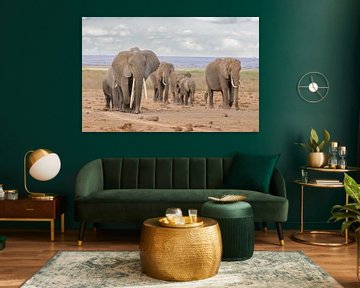 Marching elephants! by Robert Kok