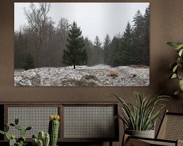 Het Bergherbos op een winterse ochtend. van René Jonkhout