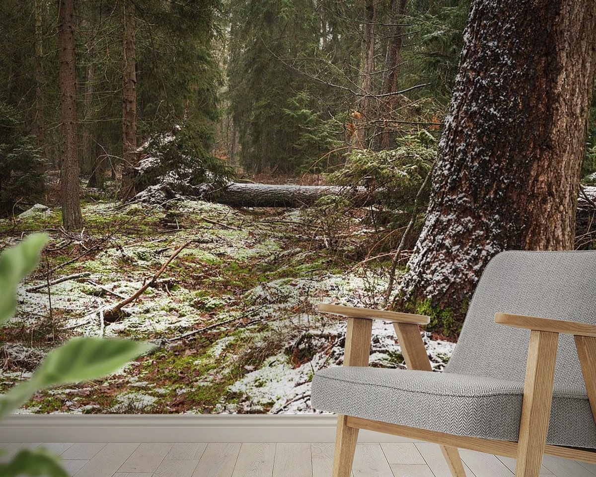 Raumvorschau