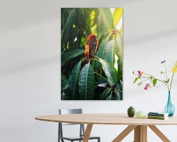 Oiseau rouge au paradis