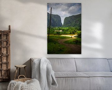 Lone cowboy in Valle de Viñales, Cuba by Alex Bosveld