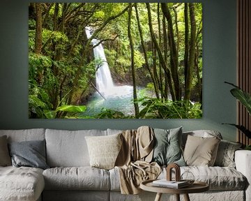 Cascade romantique dans la forêt tropicale des Açores