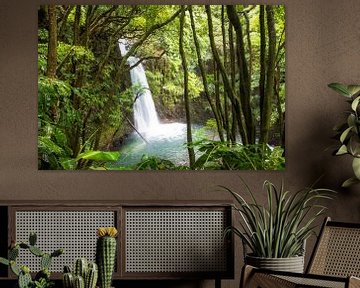 Romantischer Wasserfall auf den Azoren im tropischen Regenwald von Raphael Koch