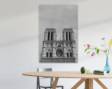 De torens van de Notre Dame van Sean Vos