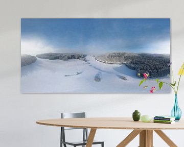 Panorama sneeuwweide en naaldbos van Christoph Hermann