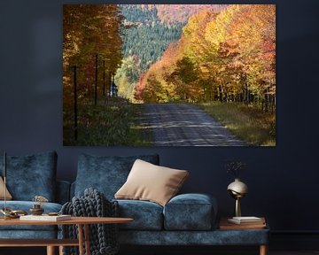 A country road in autumn by Claude Laprise