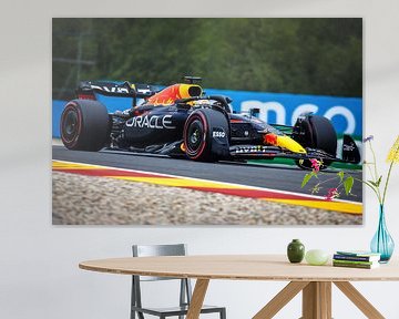 Max Verstappen au Grand Prix de Belgique 2022 sur Rubin Versigny