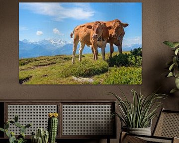 twee koeien op de alpenweide Niederhorn, zwitserland van SusaZoom