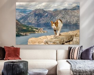 Cat walk above Kotor bay by Katho Menden