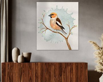 A hawfinch watercolour drawing by Bianca Wisseloo