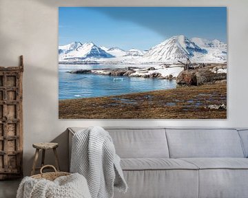 Spitzbergen - Svalbard - Arktis im Sommer von Gerald Lechner