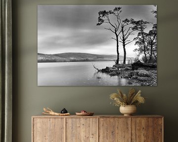 See (Loch Tay) in Schottland - Schwarz und Weiß von Richard Smit