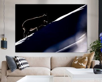 Silhouette ibex by Sam Mannaerts