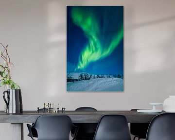 Northern Lights - Aurora Borealis by Gerald Lechner