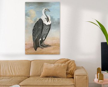 White-Backed Vulture by Marja van den Hurk