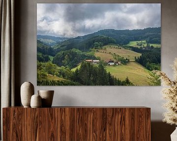 Ferme dans le paysage vallonné de la Forêt-Noire Allemagne