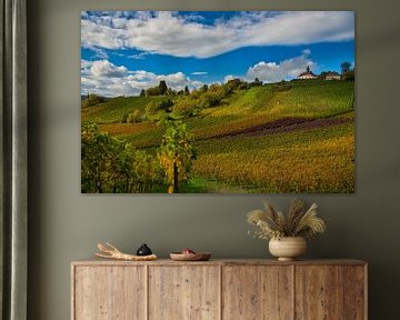 Colourful vineyards in Gengenbach in the Black Forest by Tanja Voigt