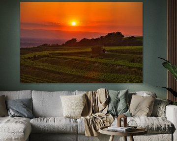 Summer evening in the vineyards of the Ortenau by Tanja Voigt