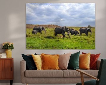 Wild Elephants in the Bush of Africa by MPfoto71