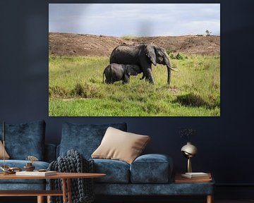 Eléphants sauvages dans la brousse africaine sur MPfoto71