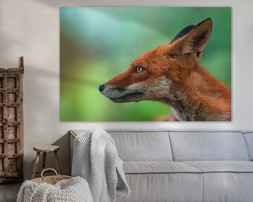 Portret van een rode vos in de lente in een groen bos van Mario Plechaty Photography