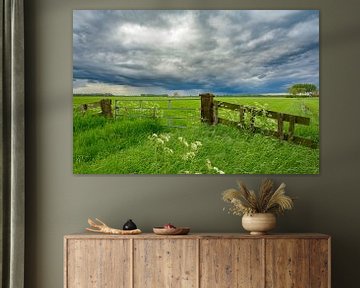 Lenteweide met naderende stormwolken van Sjoerd van der Wal Fotografie