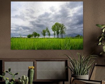 Gewitterwolken über einer Frühlingswiese von Sjoerd van der Wal Fotografie