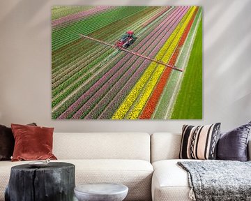 Landbouwonkruidspuiter in een tulpenveld in het voorjaar