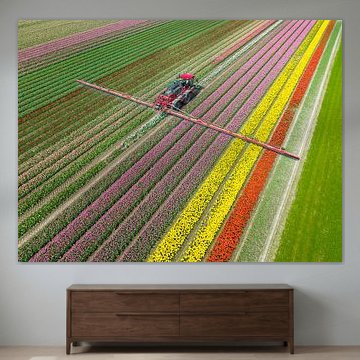 Pulvérisateur agricole de mauvaises herbes dans un champ de tulipes au printemps.