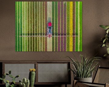Landbouwonkruidspuiter in een tulpenveld in het voorjaar van Sjoerd van der Wal