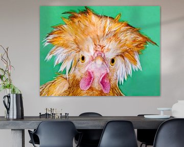 Angry chicken looks like an Angry Bird. by Rick Nederstigt